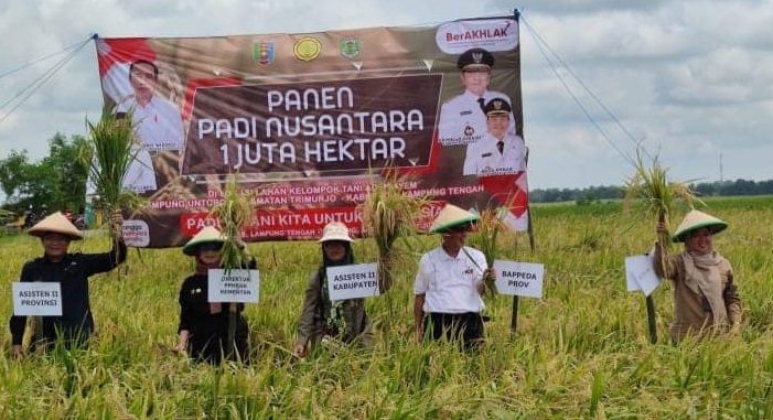 Pertanian Lampung